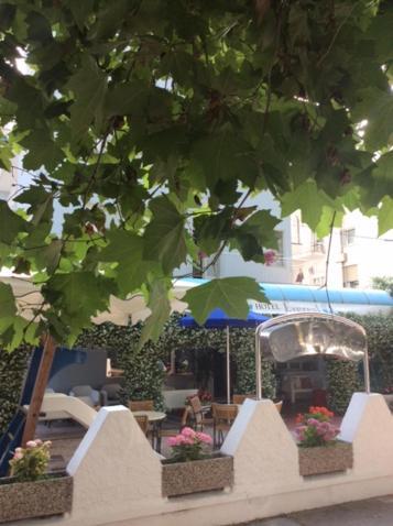 Everest Cesenatico